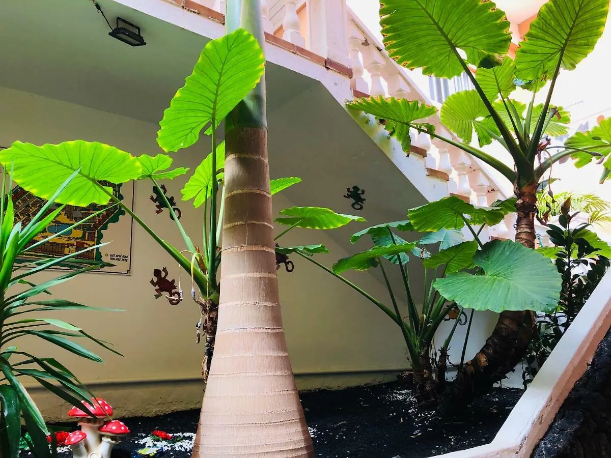 Apartamento Ocean View Costa Adeje
