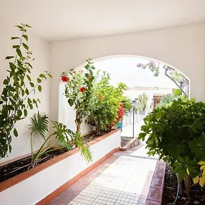 Apartamento 1 Bedroom For 4 People In Tenerife, Costa Adeje (Tenerife)